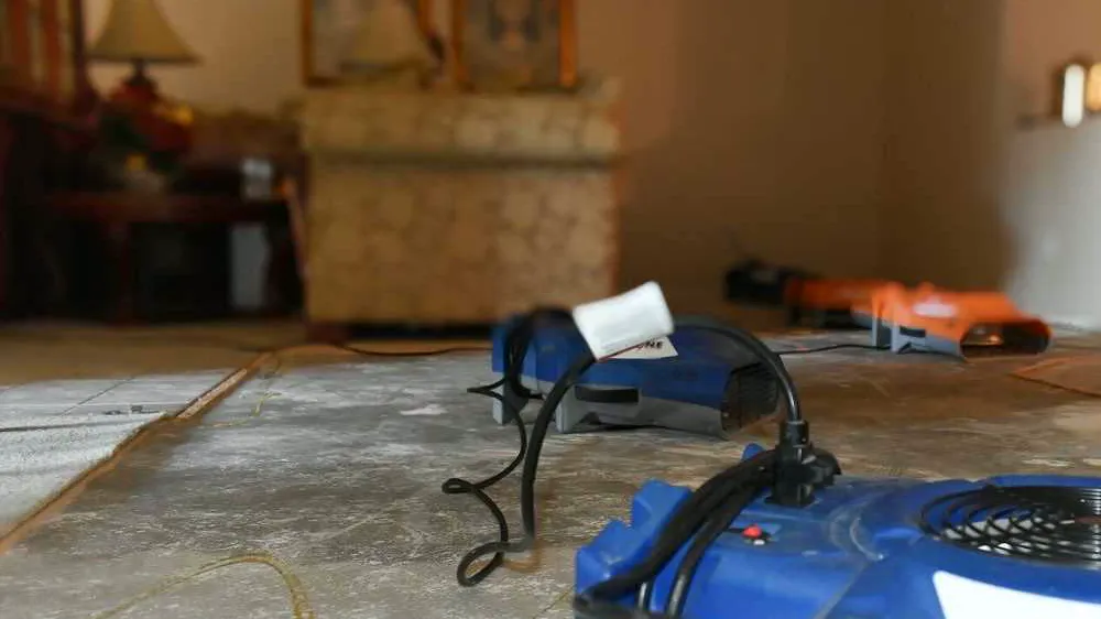 local mold remediation, Kennesaw