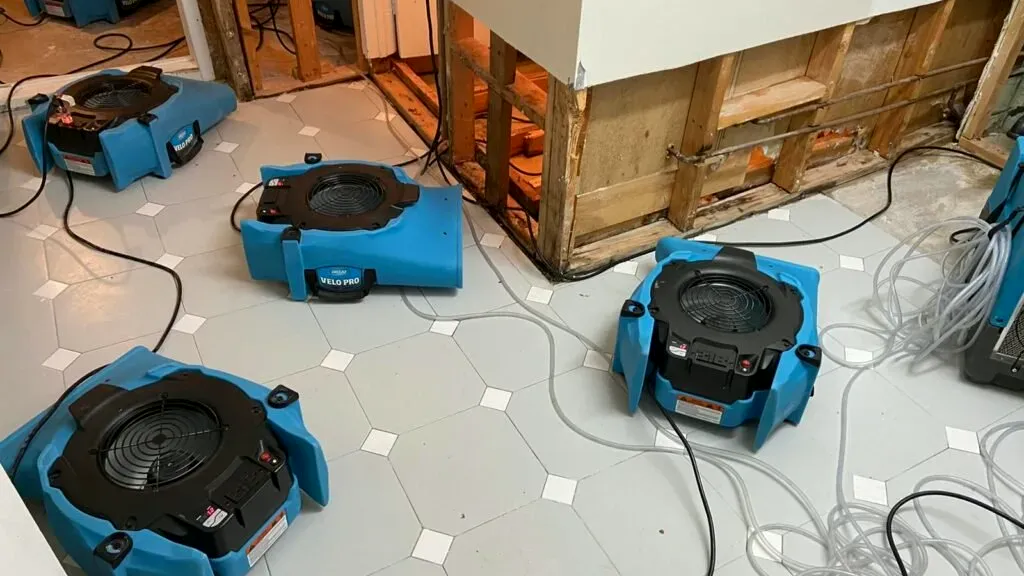 local mold remediation, Kennesaw