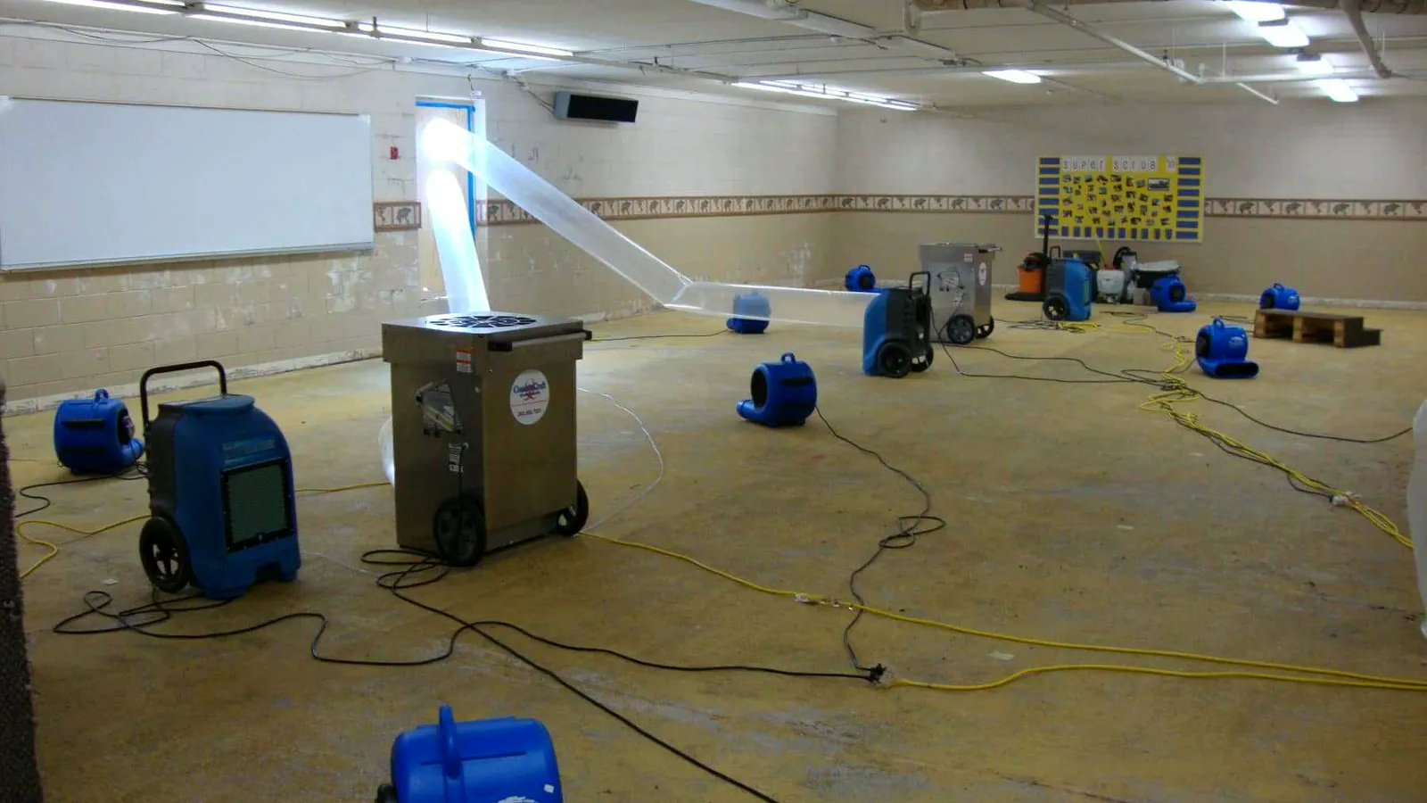 local mold remediation, Kennesaw