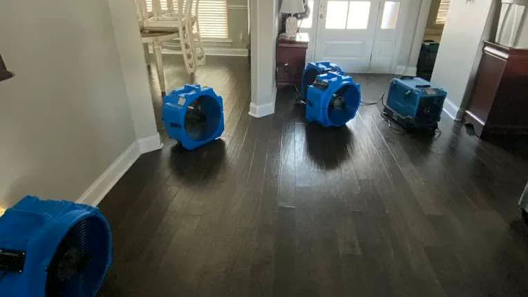 local mold remediation, Kennesaw