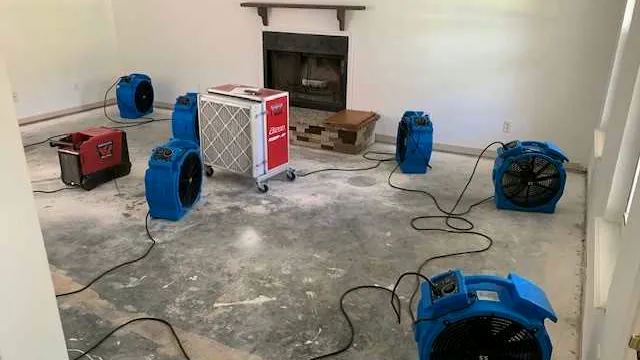 local mold remediation, Kennesaw